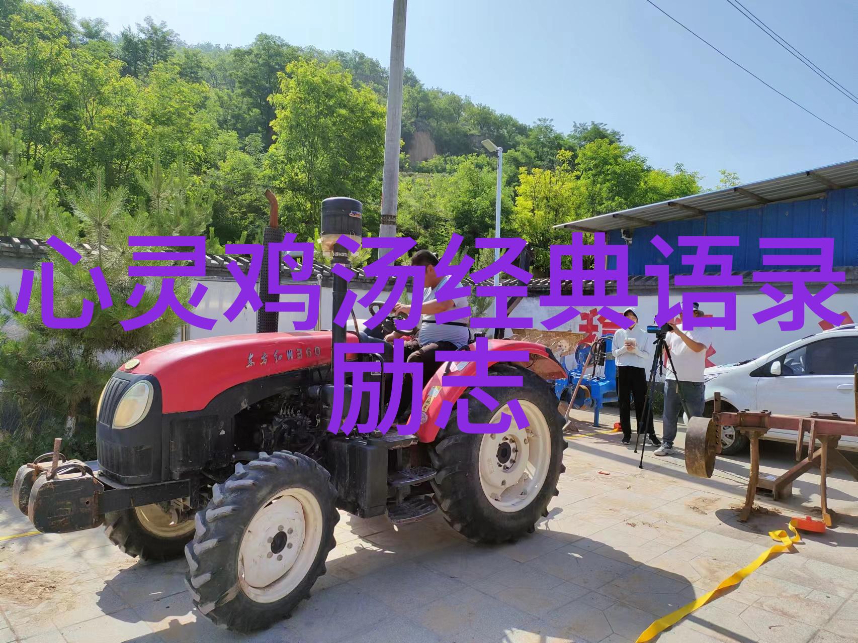 逆境中的龙凤梁思成与林徽因的爱情史诗