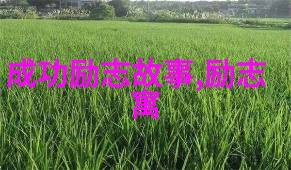 女朋友的噩梦里寻找温暖电台的情感故事文章为她编织安慰之歌