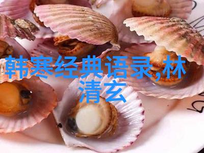 海上钢琴师经典语录温暖人心的音乐与深邃海洋相遇