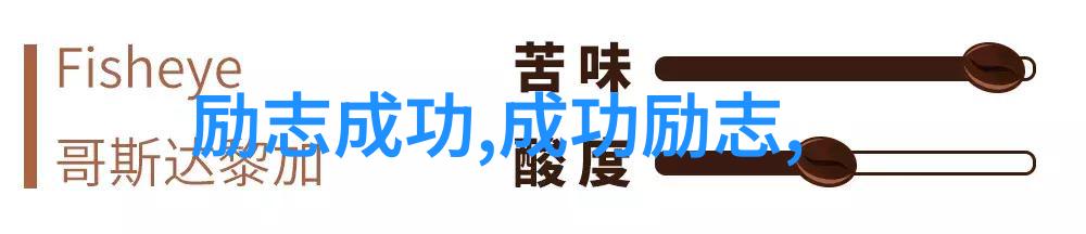 穿越时空的回声一个孤独者的成长之谜