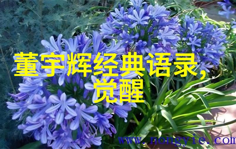 重生之小媳妇的逆袭