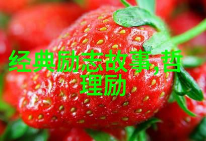 马蓉出轨视频门背后的伤痛与公众关注的深层解析