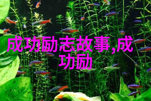中国奋斗的名人例子简短 - 李雷从贫困村庄到成功企业家的逆袭故事