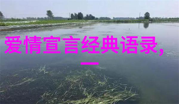 袁隆平的励志名言他是如何成为农业科学的领军人物的