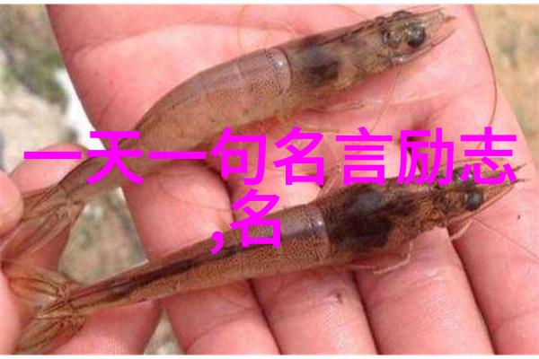 高三生逆袭之路从低分到清华的传奇征程