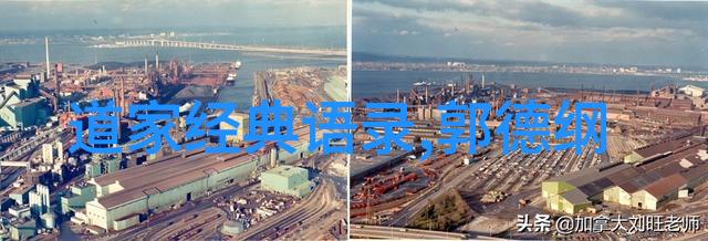 从影坛到社会场合中国十大正能明星有哪些共同点
