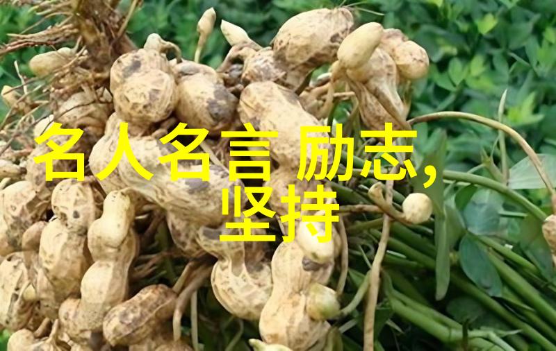 安德鲁卡内吉一个孩子如何通过坚持和毅力改变世界