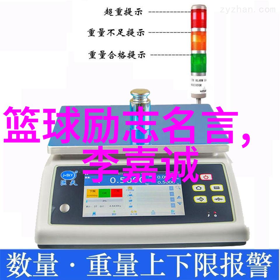 星光下的坚韧乔丹如何在篮球场上重塑自我