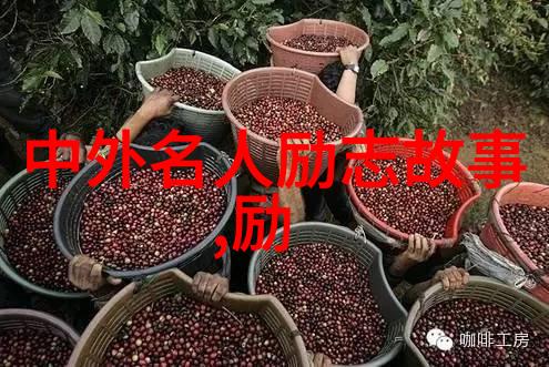 中国少年天才创造未来之光