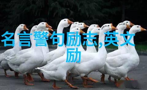 用文字绘画生活美学分析徐志摩文笔特点