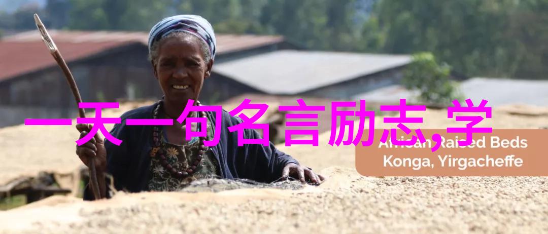 莫言的幽默语录小说家与生活的欢笑对话