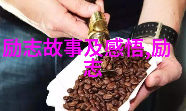 从星空到菜园小明的奇遇