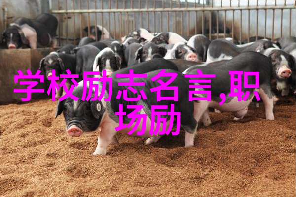 感动中国十大人物故事2019年最具影响力的公民英雄们