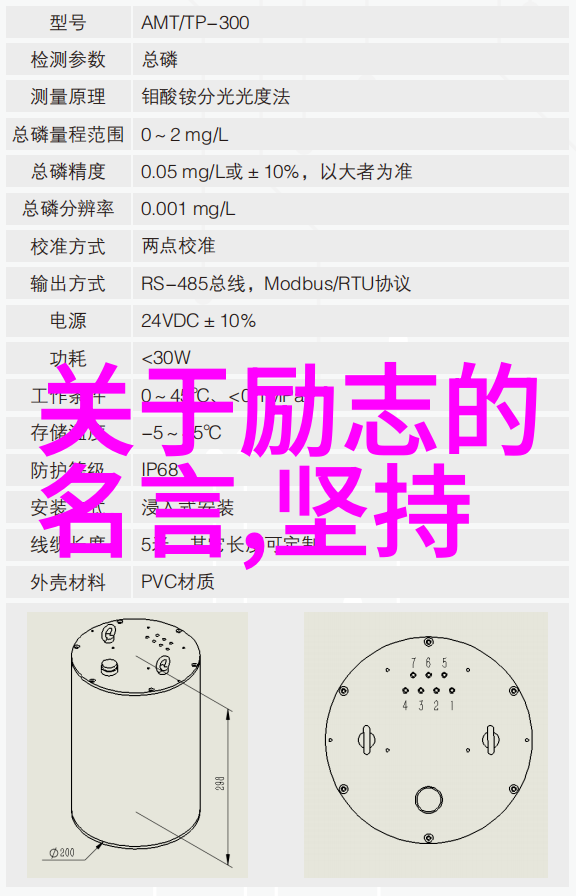 苹果精神的火炬乔布斯留给我们的智慧与激励