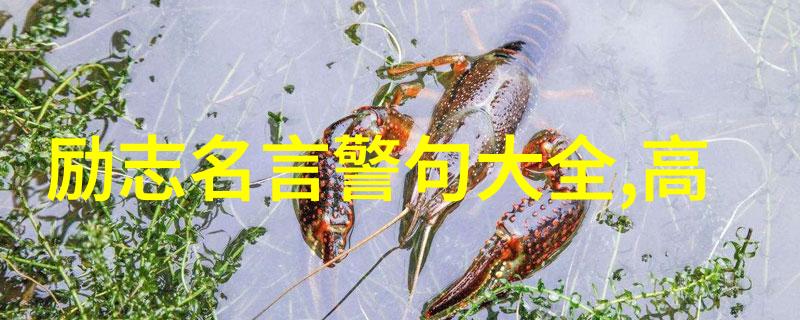 明星励志故事 - 李雷的逆袭之旅