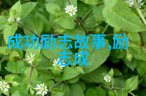 人物素材探秘揭开生活中的百态面纱