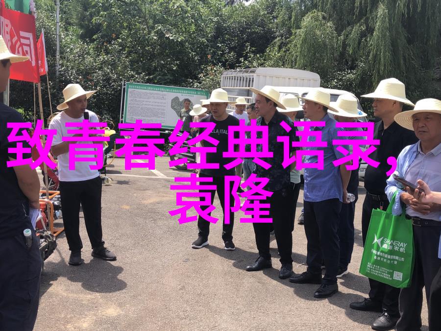家庭大杂乱中的经典语录共赴生活的欢笑与感动