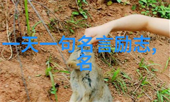 勤奋的故事不忙碌就能成功的他