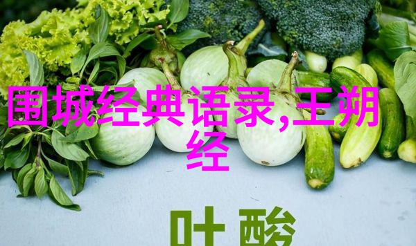 马尔克斯风格下时间与记忆的交织经典语录探究