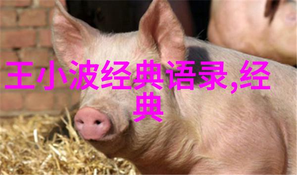 魔幻现实的百年篇章