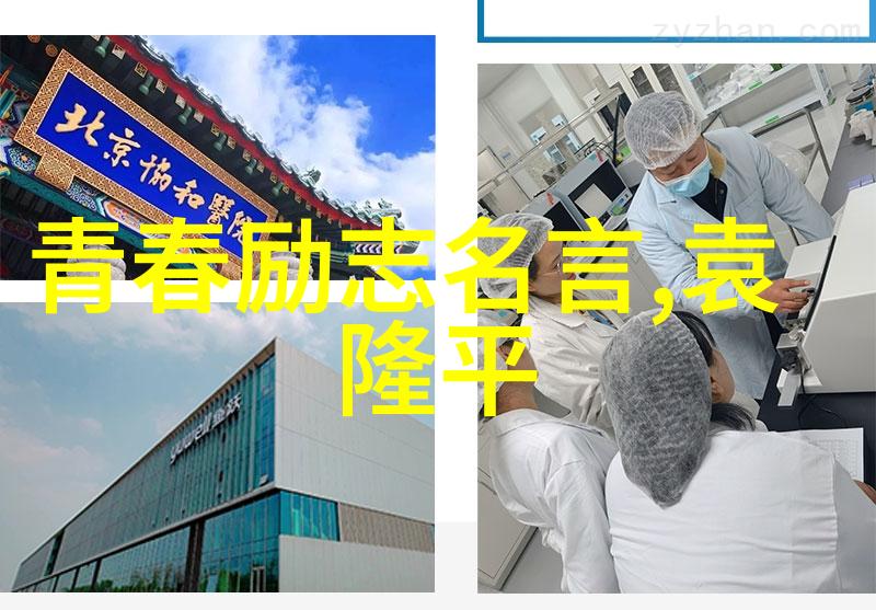 中国成功女性百人志剖析传统与现代的融合与影响