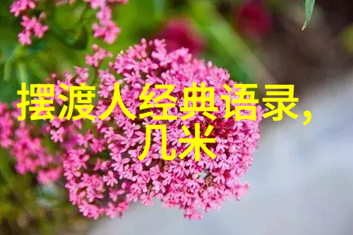 凡客诚品CEO陈年那些上帝给普通女性的特殊礼物