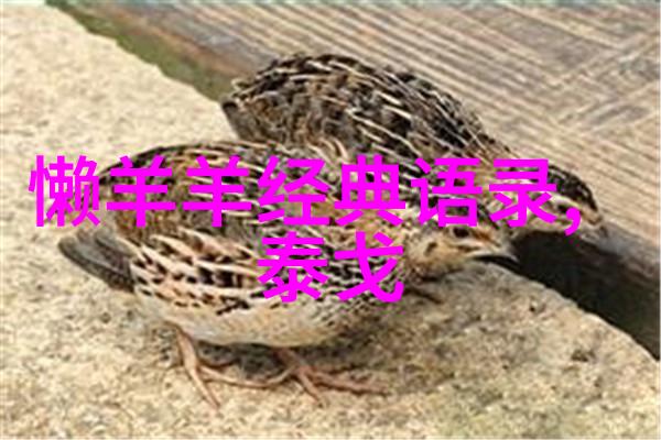 2021年感动中国人心所向的光与暖