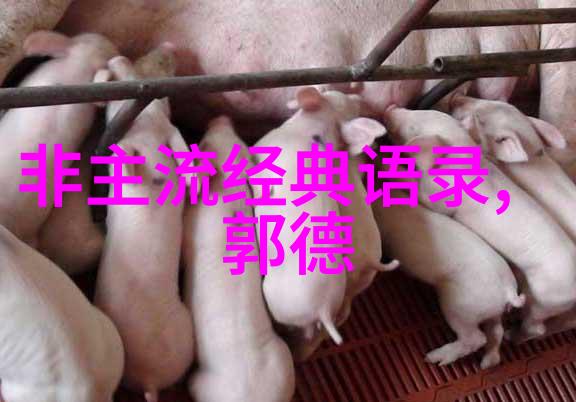 温暖的笑容里藏着永恒的爱情