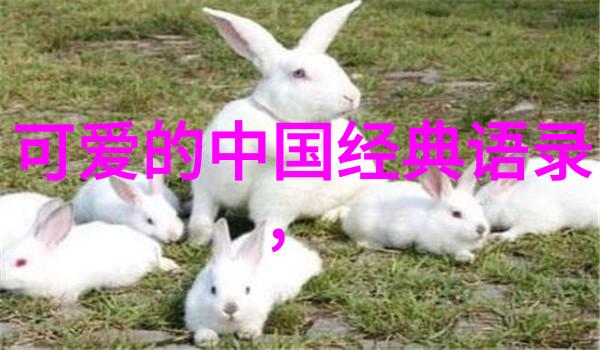 新浪时光机回忆录