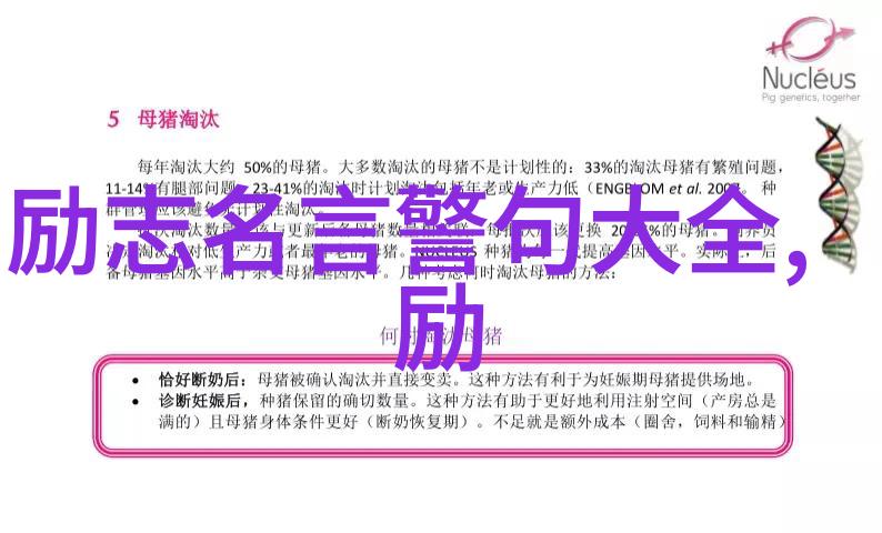 跨越逆境的青春飞翔