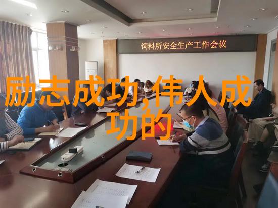 青春的回声时光中的独白