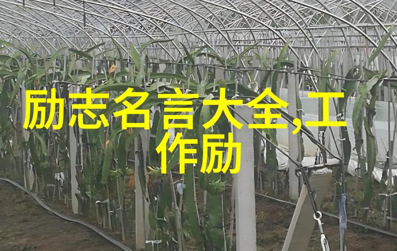 家庭大杂乱经典语录亲情的无声交响曲
