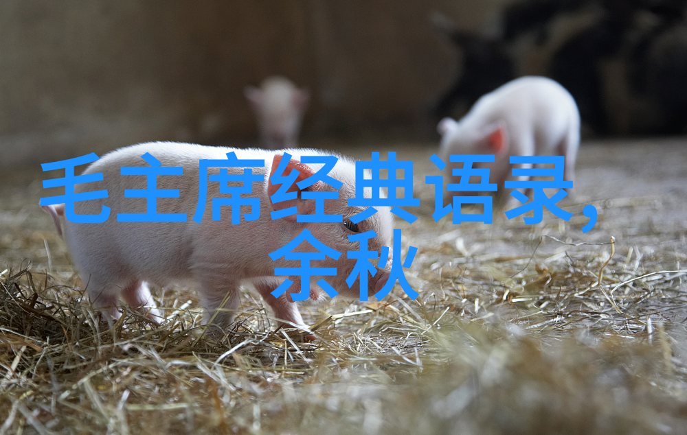 中国伟人传奇历史巨星的足迹与精神