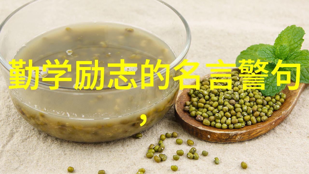 袁隆平的励志名言 - 种子中的力量袁隆平科学家的成功智慧