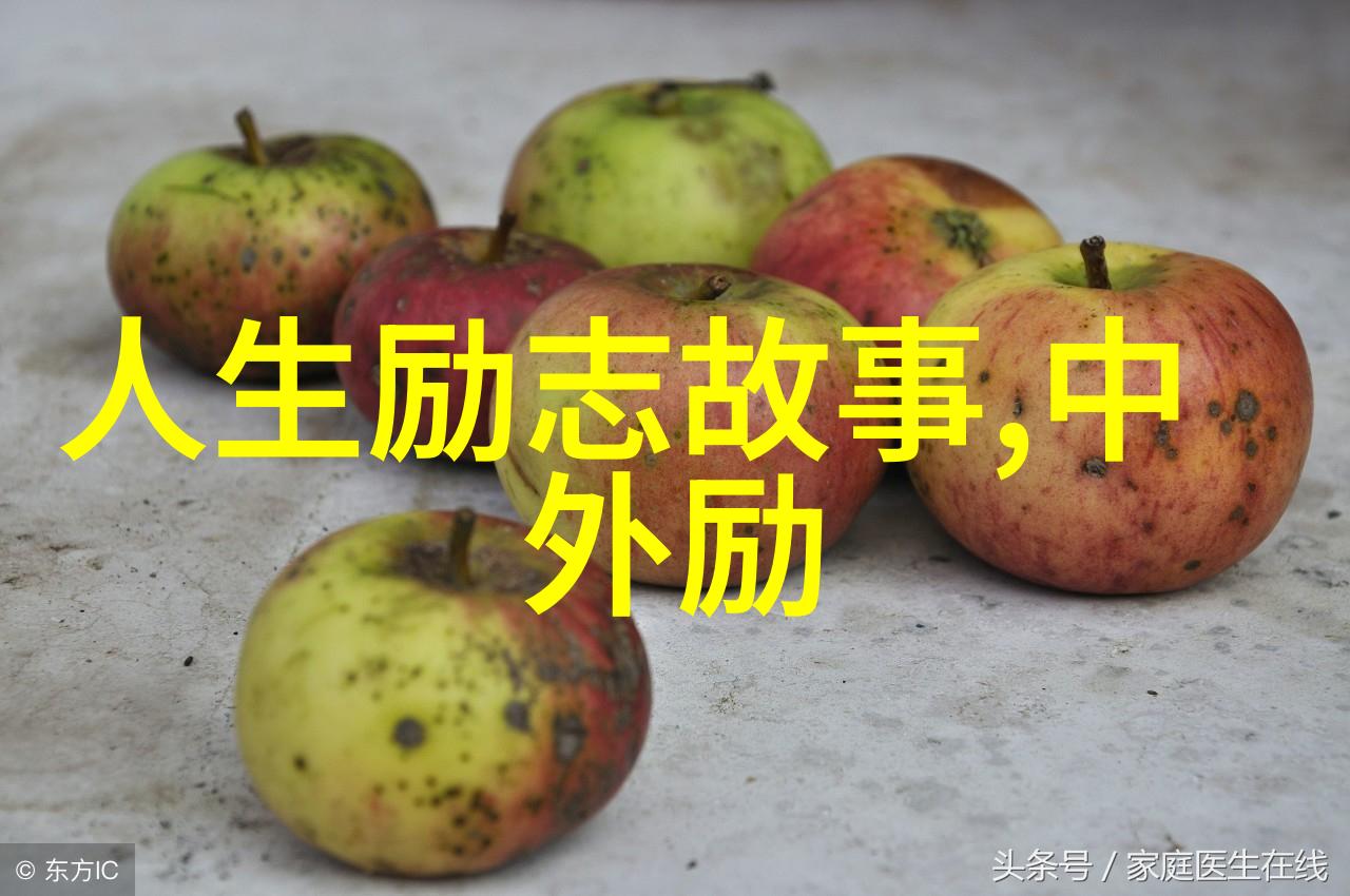 种子与梦想袁隆平教授的智慧结晶