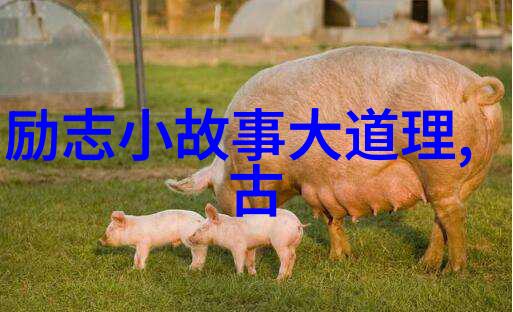 王小波经典语录我是如何在北京这座古老而又新鲜的城市里找到了我的那点微不足道的快乐