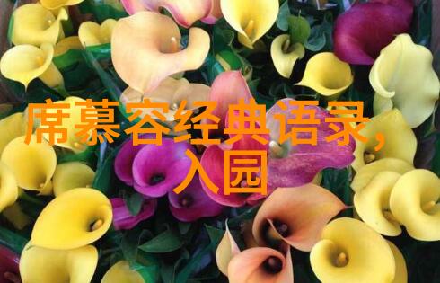 励志的正能量经典语录 - 杰出的奥尼尔追逐梦想的不懈斗志