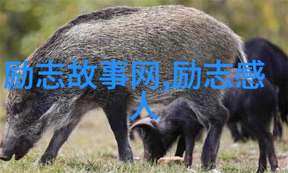 人物事迹素材我的阿婆的故事