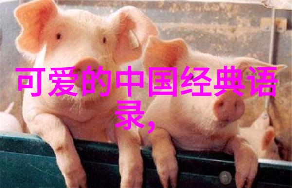 在北师大家庭教育指导师被取消的背后家暴受害者如何找到法律的庇护