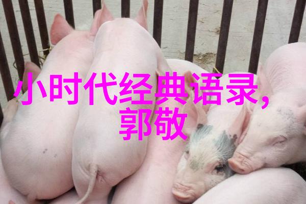 残疾人的励志故事我不仅仅是个坐轮椅的孩子张明的逆袭