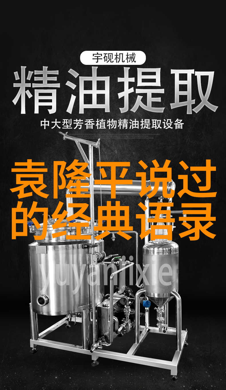 笑忘录追忆与释怀的旅程