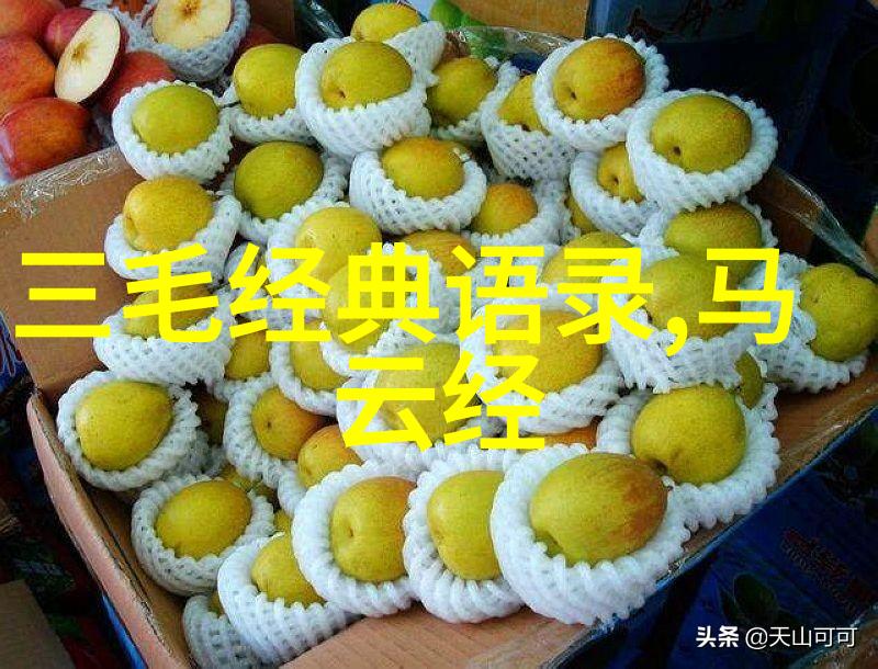 少年梦想启航中国天才们的奇迹征程