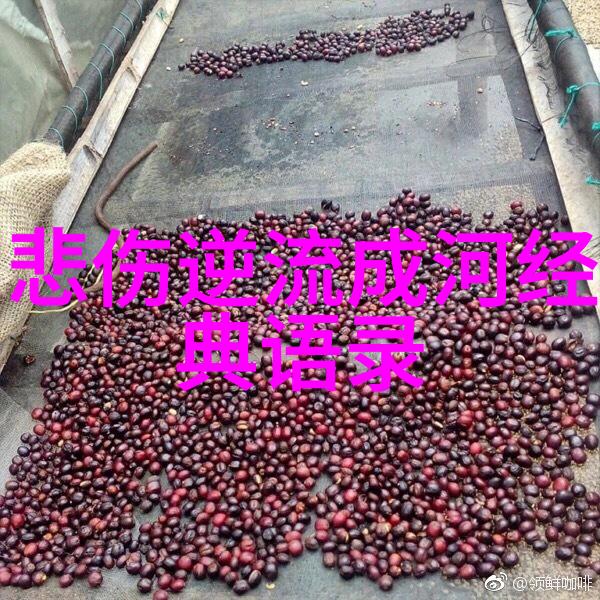 雪中悍刀行经典语录我在江湖的每一步都背着一把刀