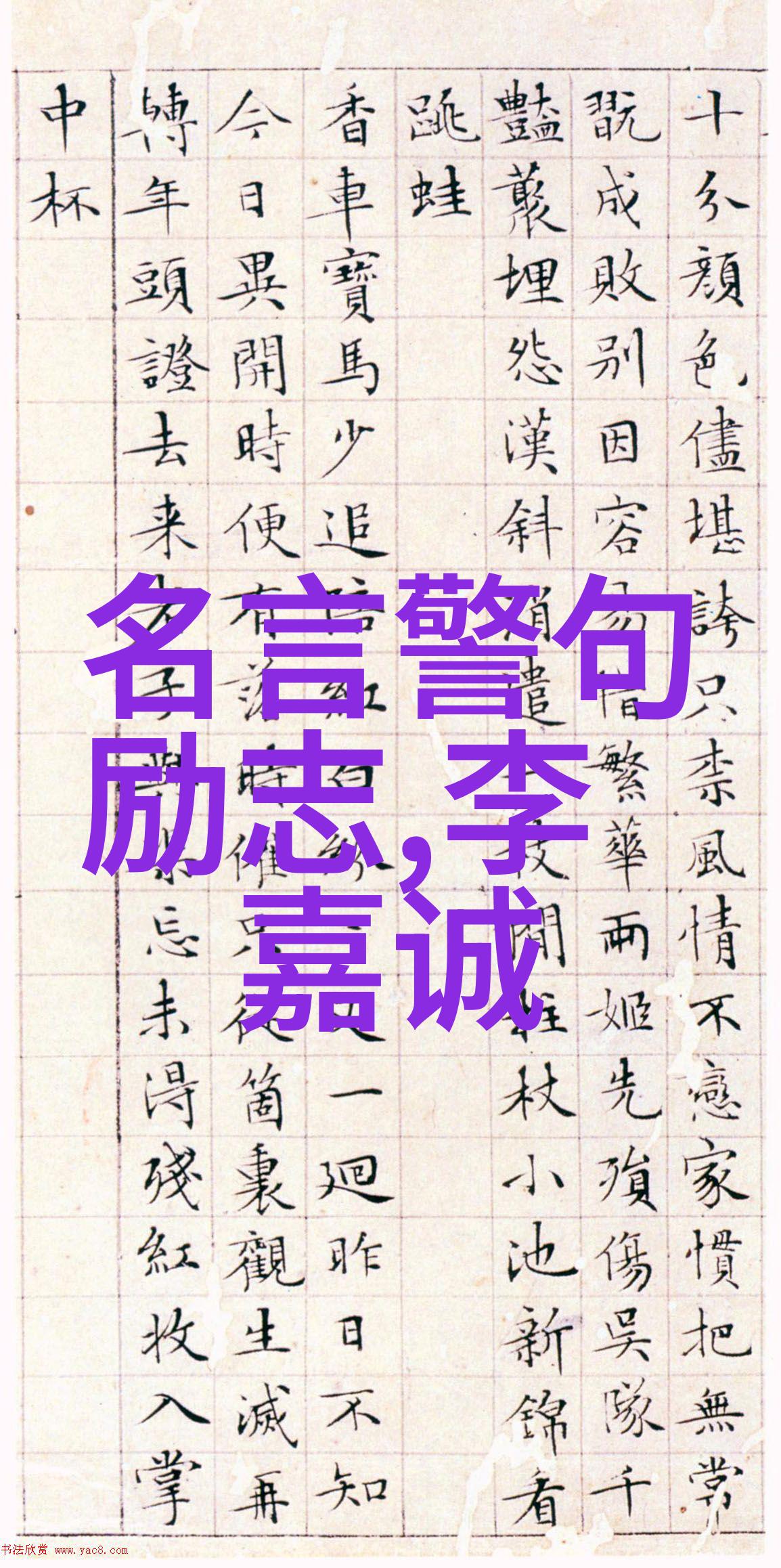 偶像激励人成功的辉煌篇章追梦者的精神灯塔