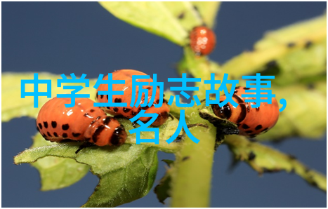 李现逆袭之王演员导演成功故事