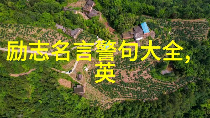 高三励志名言我也能考上理想大学