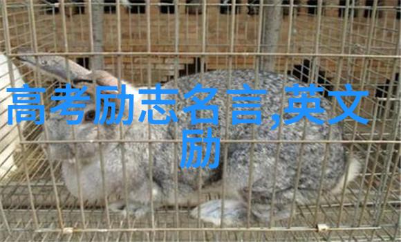 孙思邈智慧的传承探索其在中医文化中的价值与影响