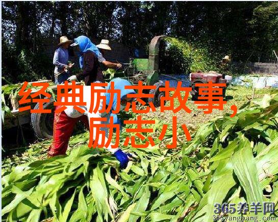 逆袭之星一名普通球员的篮球征途