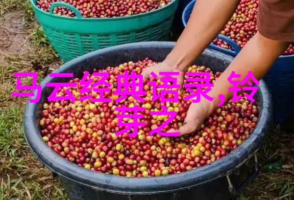 三十而已经典语录成长的智慧与经历
