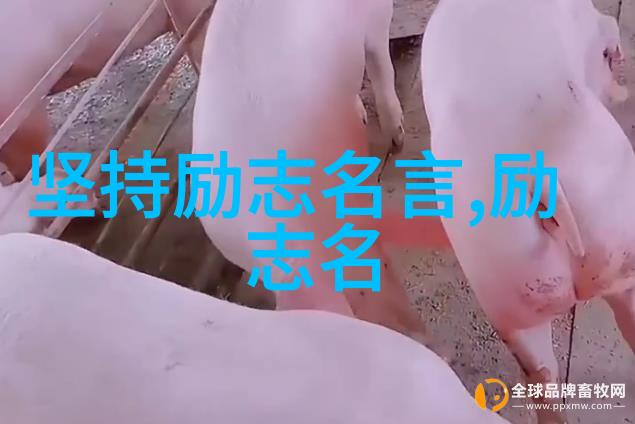 婆媳的战国时代电视连续剧男人出轨后还不肯承认犹如深山里的猛虎不愿松口释牙